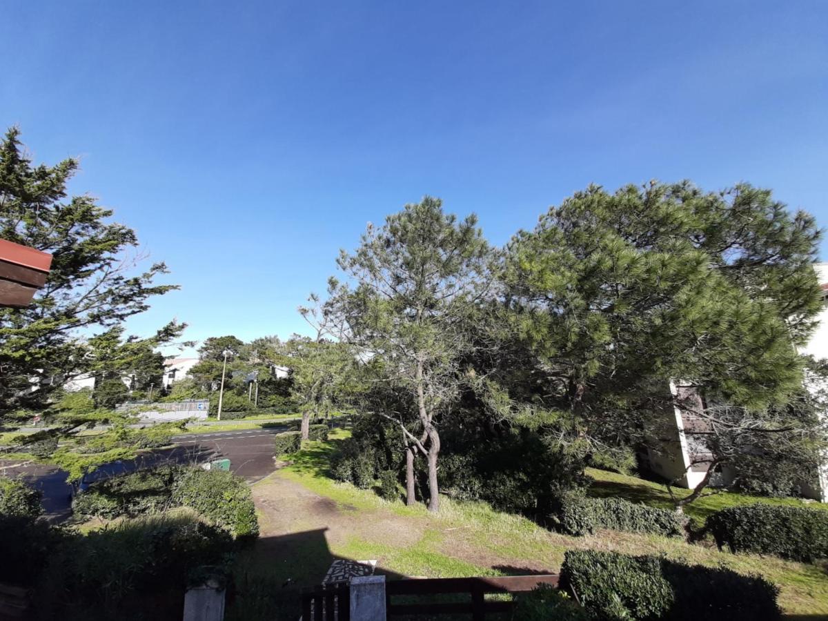 Maison Renovee Avec Terrasse A 700M Des Plages, Marche Et Activites - Tennis Et Piste Cyclable A 10M - Fr-1-239-385 세노스 외부 사진